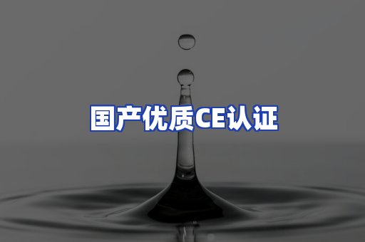 国产优质CE认证